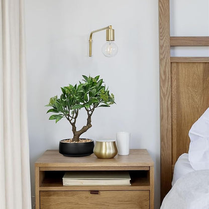 Artificial Bonsai Tree, Small Bay Laurel Bonsai Tree 13" Indoor Bonsai Tree Fake Potted Plant Decorative Fake Desk Plant Decor with Ceramic Pot for Home Office Living Room Bedroom Bathroom Table Shelf