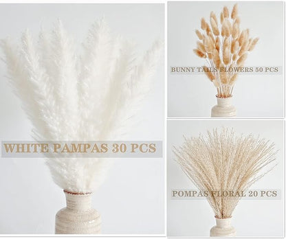 Natural Dried Pampas Grass Decor, White Pampas Grass， Bunny Tails Dried Flowers, Reed Grass Bouquet for Wedding Boho Flowers Home Table Decor, Rustic Farmhouse Party (100 in Total )