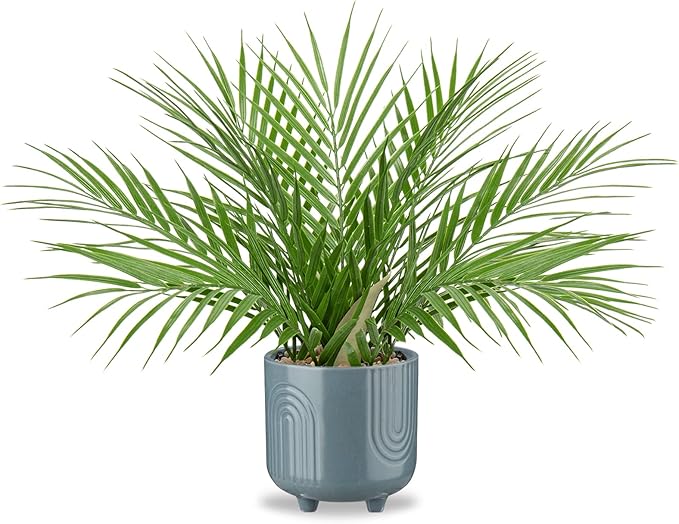 Hollyone Large Artificial Potted Plants Fake Palm Plants 16" Faux Green Plant Tropical Palm Tree in Blue Ceramic Pots for Home Room Office House Indoor Decoration