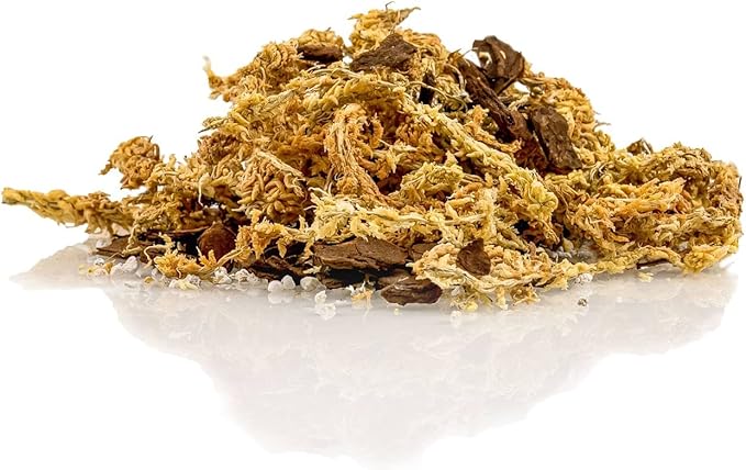 GARDENERA Premium Preserved Reindeer Moss for Potted Plants, Terrariums, Fairy Gardens, Arts and Crafts or Floral Decor Design in Natural (1 Quart Bag)