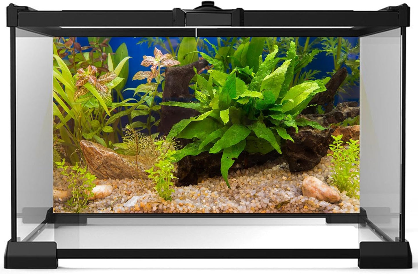 Aquarium Backdrop Underwater Grass Leaves Pebble Aquarium Background Vivid and Fresh Green Aquatic Plant Stone River Bed Fish Dead Wood Leaves Tank Background Decors Vinyl 72x24in