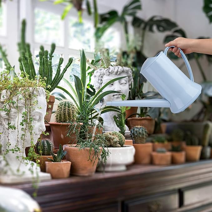 XXXFLOWER 1/2 Gallon Small Indoor Plant Watering Can, 2L Long Spout Removable Nozzle Flower Watering Pot for Office House Indoor Garden（Blue, 67 oz）