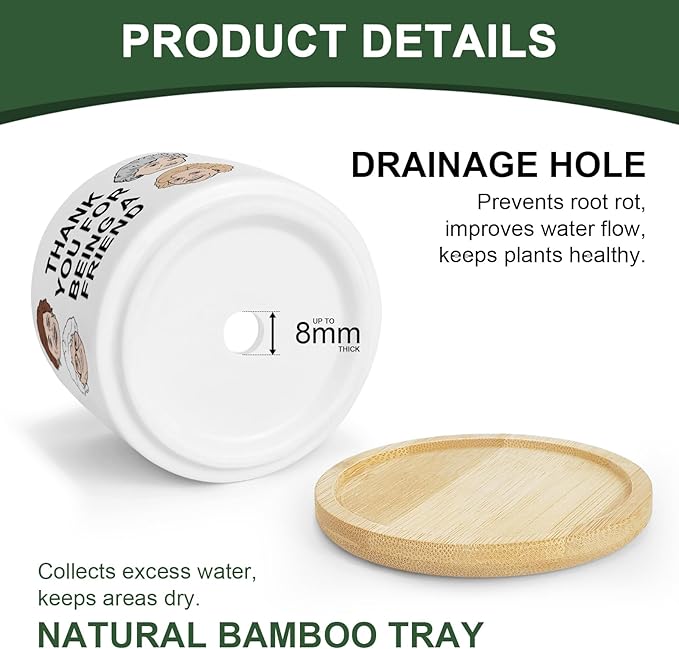 Friend Gifts for Women, Funny Succulent Planter, Flower Cactus Plant Pot, Friendship Gifts for Friend Bestie Sister Birthday, Thank You for Being a Friend Golden Girls Merchandise (Plant Not Included)