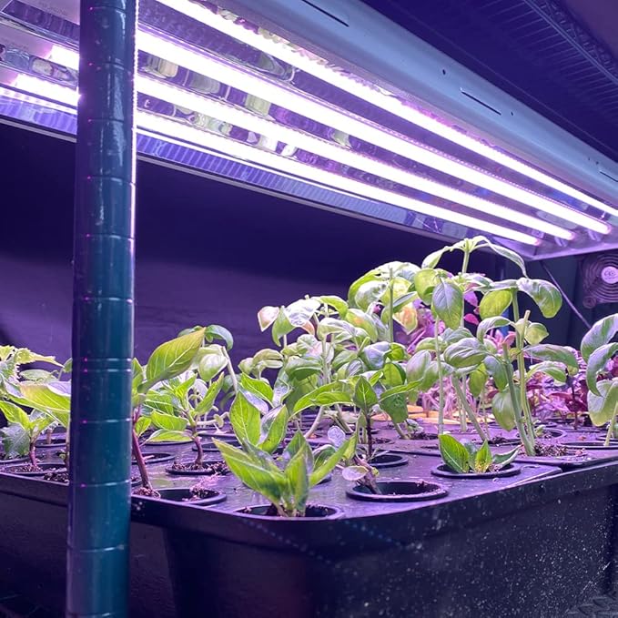 Active Grow T5 High Output 4FT LED Grow Light Bulb - T5 Grow Lights for Indoor Plants, Flowers, Fruit, Veg, Bloom & Tropical Plants - 24W - Red Bloom Pro Full Spectrum - Plug & Play - 4-Pack