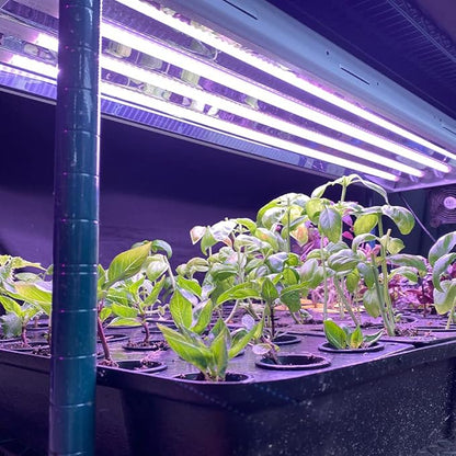 Active Grow T5 High Output 4FT LED Grow Light Bulb - T5 Grow Lights for Indoor Plants, Flowers, Fruit, Veg, Bloom & Tropical Plants - 24W - Red Bloom Pro Full Spectrum - Plug & Play - 4-Pack