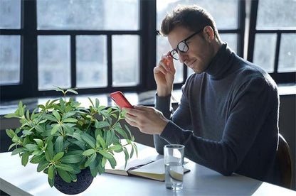 AlphaAcc 9.5" Artificial Plants with Olive Leaves Real Looking Faux Plants Fake Greenery Potted in Black Round Ball Planter for Tabletop Bathroom Kitchen Office Housewarming Gift Home Decor