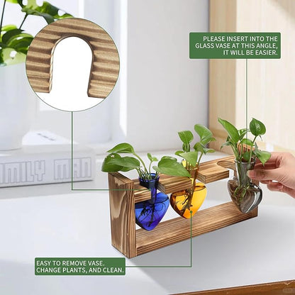 Plant Terrarium Propagation Stations Hydroponics Home Garden Decoration Gift for Women with Wooden Stand Heart Shaped Colored Glass Vase