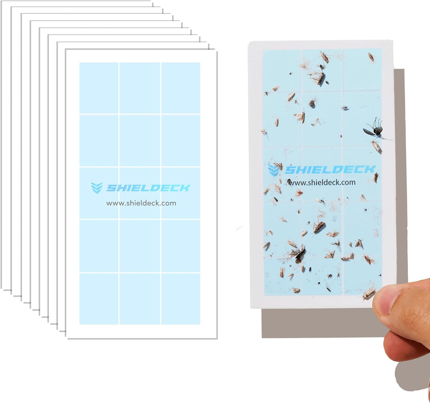 Flying Insect Trap Plug in - Indoor Fruit Fly, Gnat, and Mosquito Trap - Bug Catcher Traps with UV Light for House Indoors (1 Device + 5 Refills) (Refills)