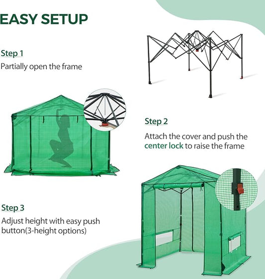 6x6 Pop Up Walk-in Greenhouse, Indoor & Outdoor PE Cover Green House with Power Access Ports, Roll-up Zippered Doors and Windows, Green