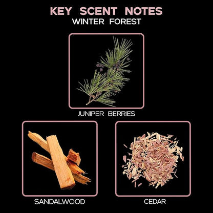 LOVSPA Reed Diffuser Set, Winter Forest Pine Scented Oil Diffuser with Sticks and Wooden Coaster, Bathroom Shelf Decor Made with Real Botanicals, USA Made