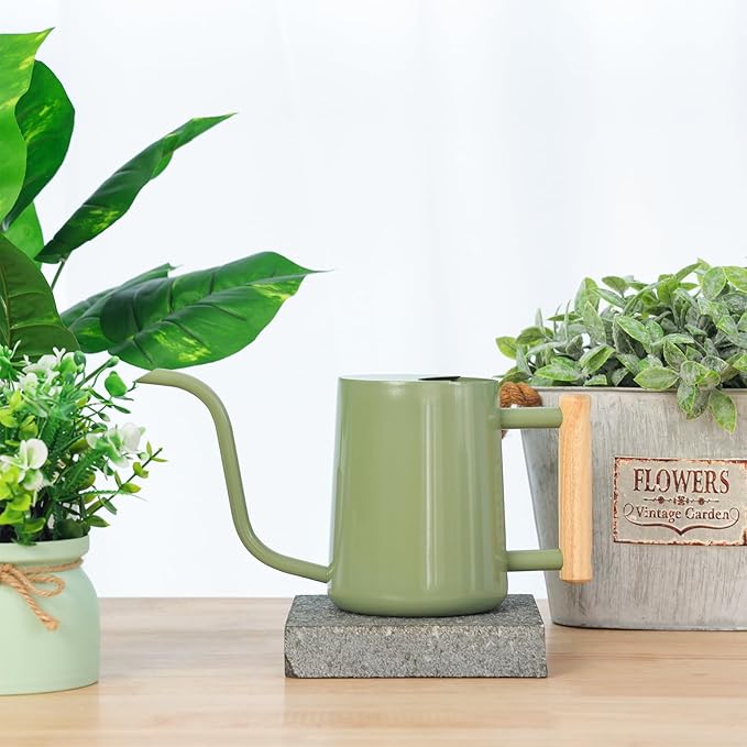 CEWOR Sage Green 35 Oz Metal Watering Can with Long Spout for Indoor & Outdoor Plants