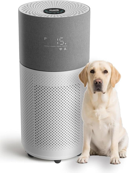 CleanForce Air Purifier for Home Large Room up to 2550 ft², Swiss Sanitized HEPA & Carbon Filter, asthma & allergy friendly Certified for Dust/Pollen/Pet Dander, Alexa/App Control, Ozone-Free, Rainbow