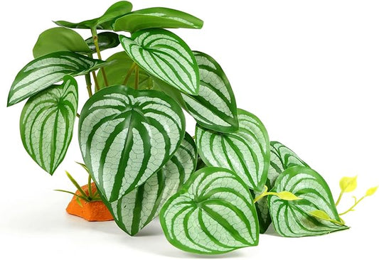 Reptile Plants for Terrarium, Amphibian Habitat Decor Plant, Bearded Dragon Tank Decorations, Artificial Plants for Gecko Lizard Chameleon Ball Python Snake with Base - Fake Calathea Orbifolia