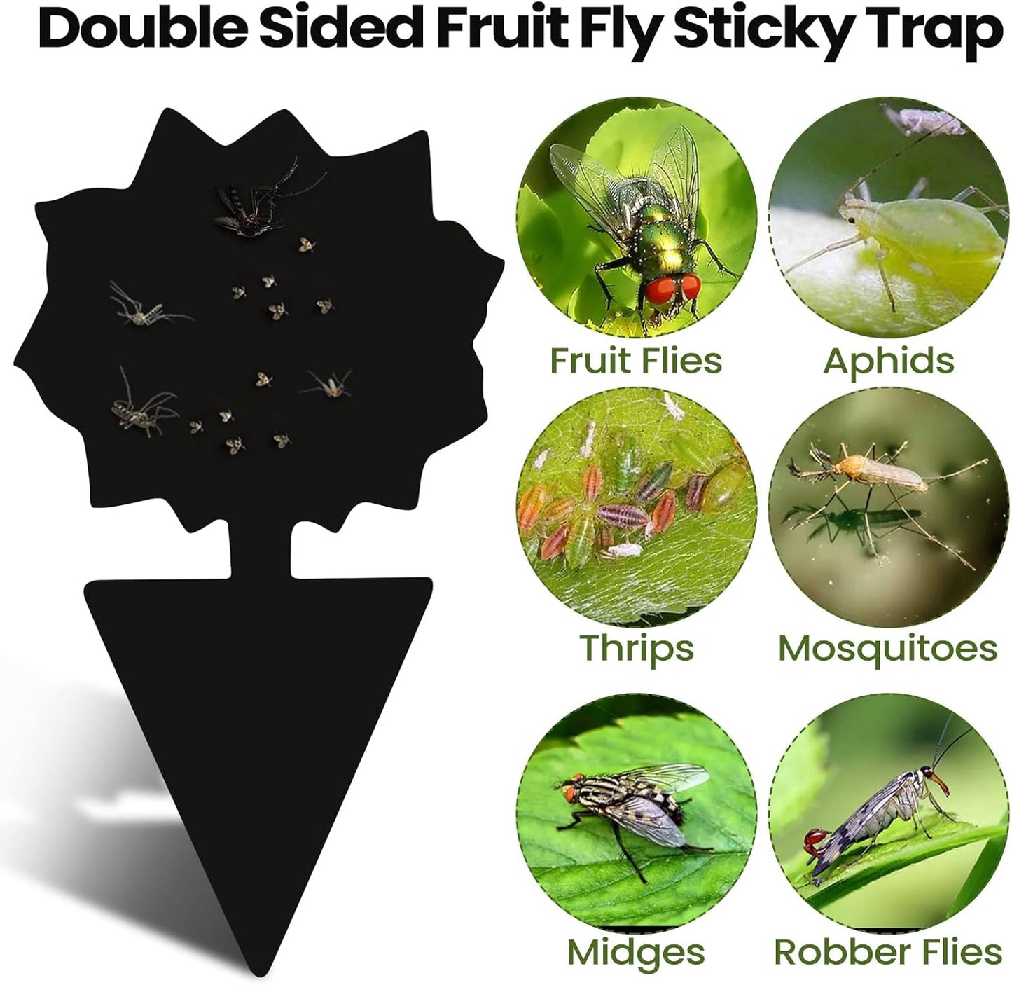 200 Sheets Fruit Fly Sticky Traps for Fruit Fly Gnat Trap for House Indoors Sticky Traps Catcher for Gnats Fungus Gnats Mosquito Catcher for Kitchen Outdoor Plants(Black)