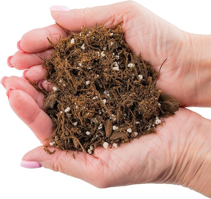 Gardenera Alocasia Plant Potting Soil - All-Natural Blend for Thriving Alocasia Plants - Boosts Root Health and Distinctive Foliage - 10 Quart