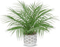Hollyone Large Artificial Potted Plants Fake Palm Plants 16" Faux Green Plant Plastic Ceramic Tropical Palm Tree in Pots Bohemian for Home Room Office House Indoor Decorative