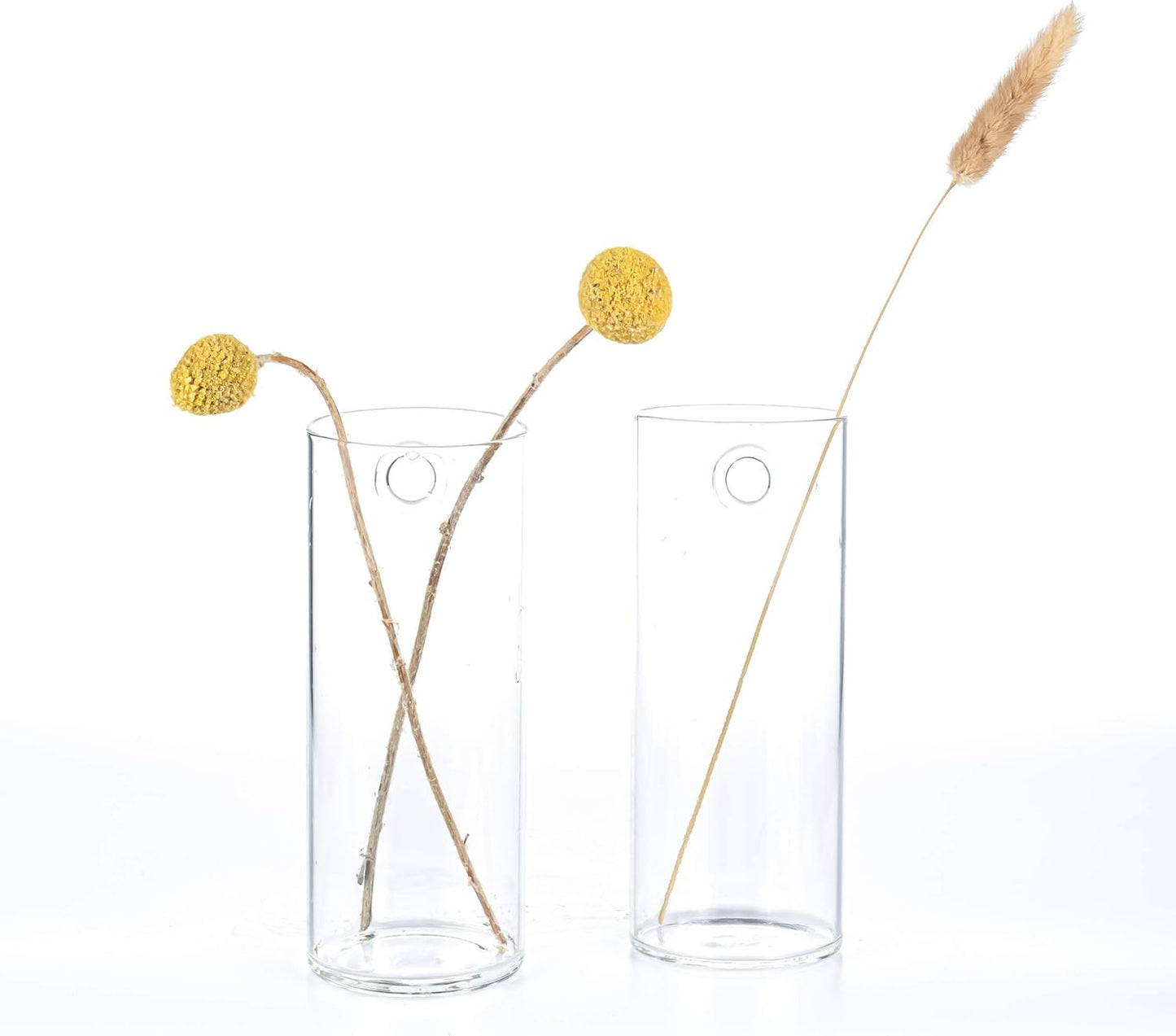 Kingbuy Glass Tube Wall Planter Propagation Station - 2 Pack Terrarium Cylinder Wall Vase with Plant Holder Hydroponic Planter for Home Kitchen Office Decor, Perfect Plant Lover Gifts (Short Cylinder)