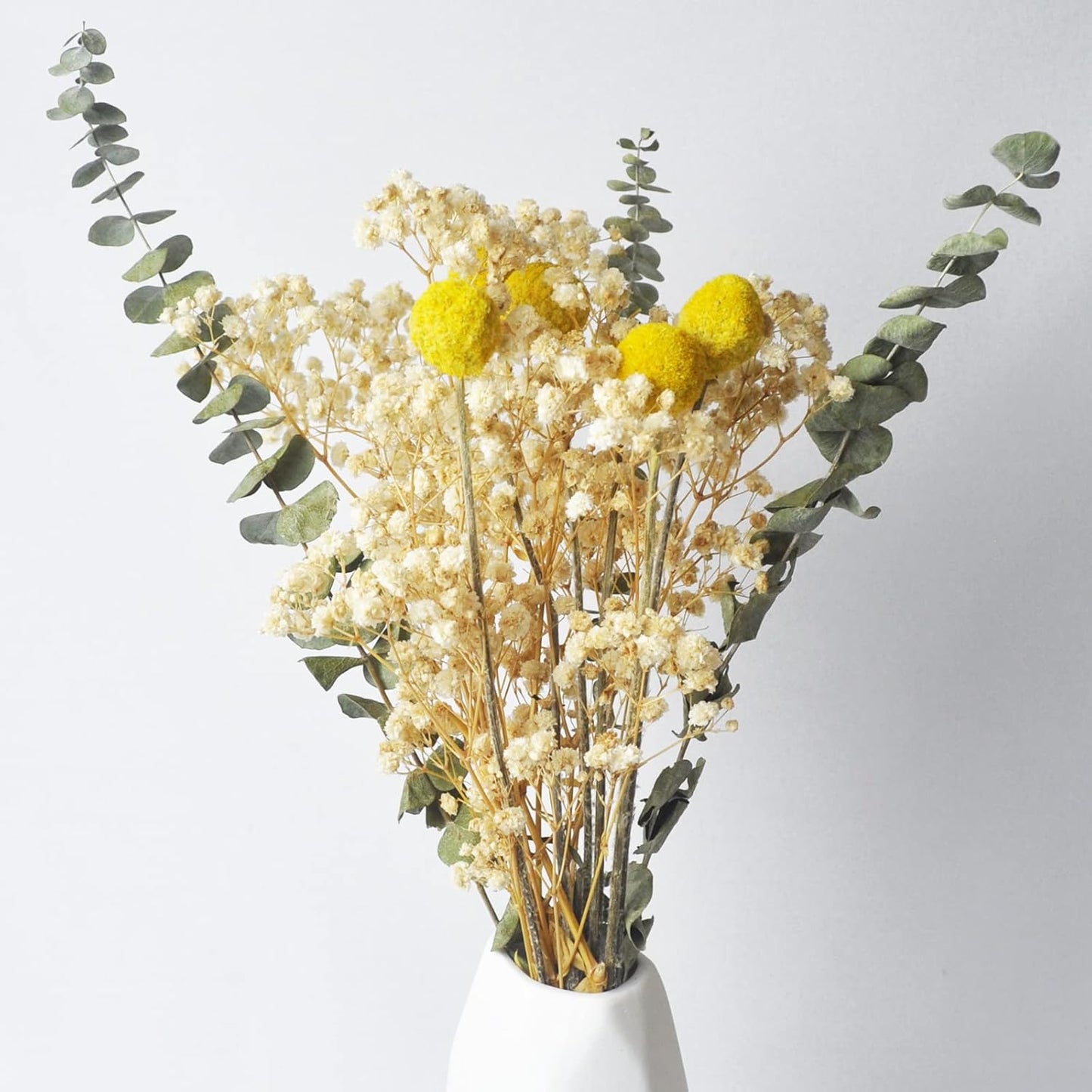 L'BREVOGA Dried Flower Bouquets, 100% Natural Flowers Craspedia/Baby’s Breath/Eucalyptus for Decoration Home Party (Billy Buttons)