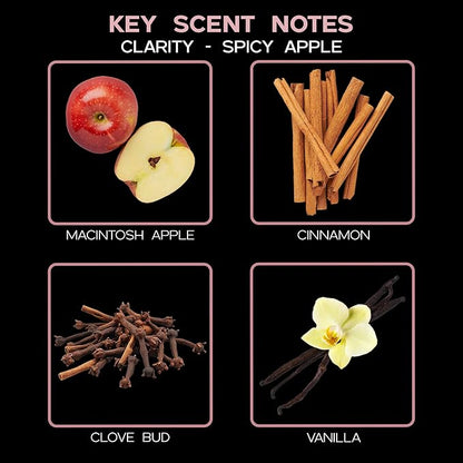 LOVSPA Reed Diffuser Set, Clarity Spicy Apple Cinnamon Scented Oil Diffuser with Sticks, Home Fragrance Accessories for Bathroom Shelf Decor, Aroma Diffusers for Home or Office Fall Decor, USA Made