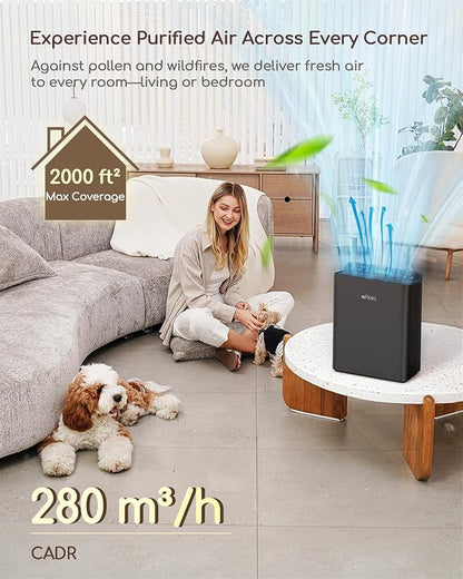 Afloia Air Purifier for Home Large Room Bedroom Up to 2000Ft² with PM2.5 Air Quality Monitor Smart Auto Mode, Washable Pre Filter Cleaner for Pet, Black