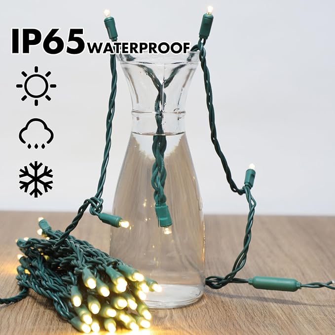 LAMPHOME 100Count (2pk of 50L) String Lights, LED Christmas Lights, 6" SPACING,Twinkle,Green Wire,Warm White