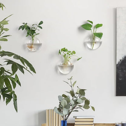 Wall Propagation Planters 6 Pack Glass Wall Planters for Indoor Plants, Wall Plant Holder Plant Propagation Wall Hanging, Glass Flower Vase Indoor Hydroponic Decor