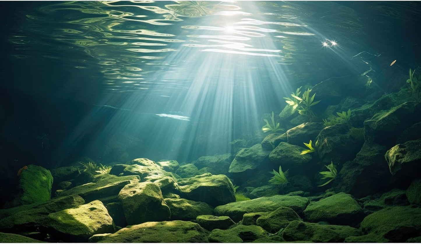Under The Sea Aquarium Background Aquatic Plants Deep Sea Fish Tank Background Underwater Sunray Rock Terrarium Backgrounds Deep Ocean Floor Tropical Fish Tank Backgrounds 36x24in