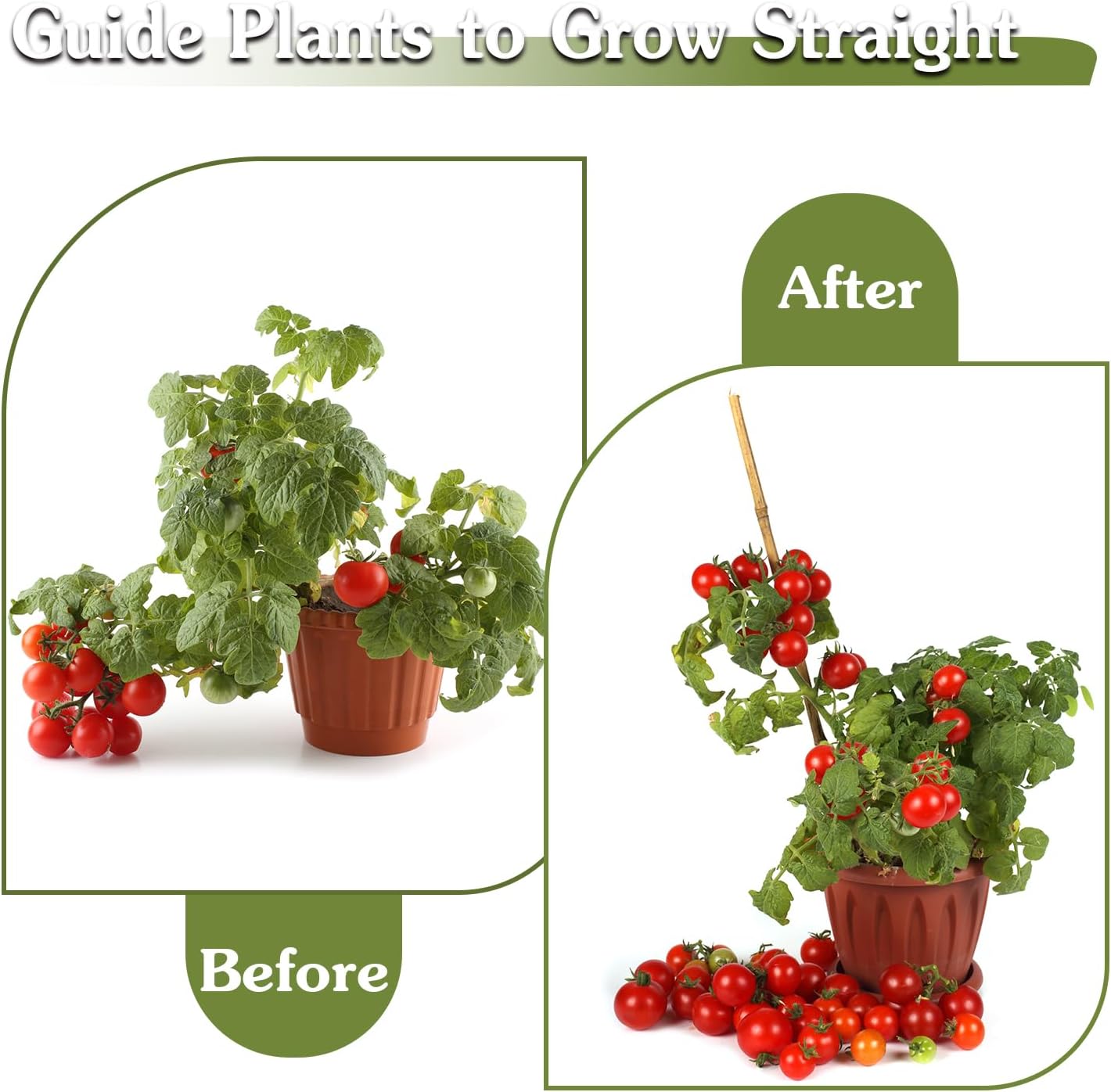 Plant Stakes 16inch, 20Pcs Natural Bamboo Sticks Garden Stakes, HAINANSTRY Plant Support Stakes for Indoor & Outdoor Plants, Orchid Tomato Vegetable Stakes for Garden