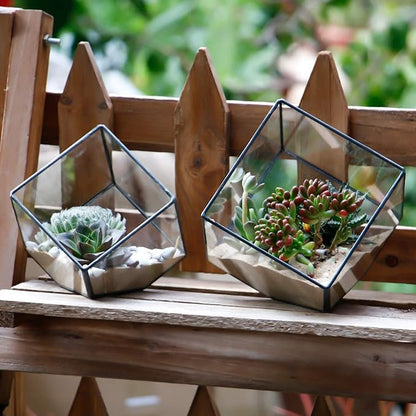 ELEGANTLIFE Glass Geometric Plant Terrarium Container, Flower Pot Tabletop Planter Decor Glass Display Box Succulent & Air Planter for Home Garden Office Decoration(Black Cubic Set of 2)