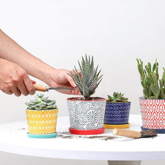 Selamica Ceramic Succulent Pots, 4.3 Inch Small Plant Pots with Drainage Holes and Saucers, Small Flower Pots for Succulent, Cactus, Home Decor, Set of 4, Assorted Colors