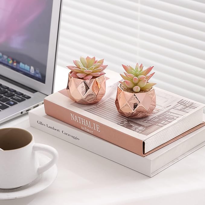 Tiita Artificial Faux Succulents in Pots, Mini Rose Gold Fake Plants for Women Desk, Small Realistic Faux Succulents for Home Office Accessories Window Sill Bathroom Bedroom, Rose Gold