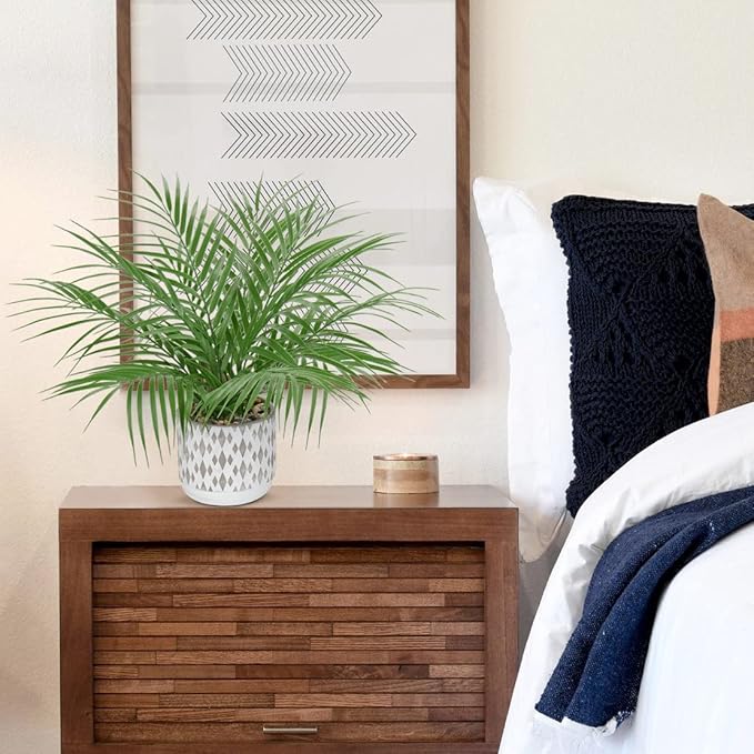 Hollyone Large Artificial Potted Plants Fake Palm Plants 16" Faux Green Plant Plastic Ceramic Tropical Palm Tree in Pots Bohemian for Home Room Office House Indoor Decorative