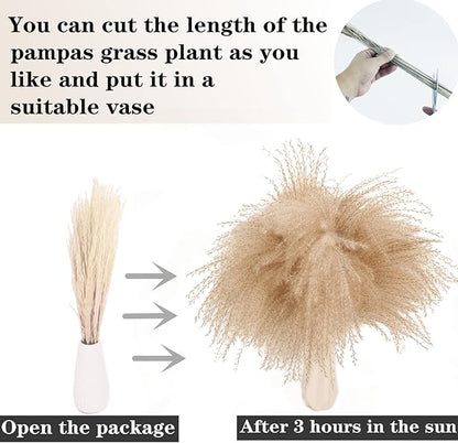 Natural Dried Pampas Grass Decor, Brown Pampas Grass， Bunny Tails Dried Flowers, Reed Grass Bouquet for Wedding Boho Flowers Home Table Decor, Fall Decor，Rustic Farmhouse Party (100 in Total )