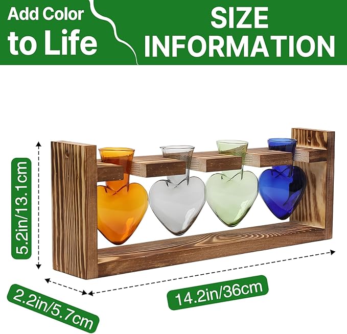 Plant Propagation Stations Heart Plant Terrarium Kit Gift for Women Plant Lover Glass Vases