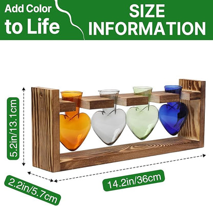 Plant Propagation Stations Heart Plant Terrarium Kit Gift for Women Plant Lover Glass Vases