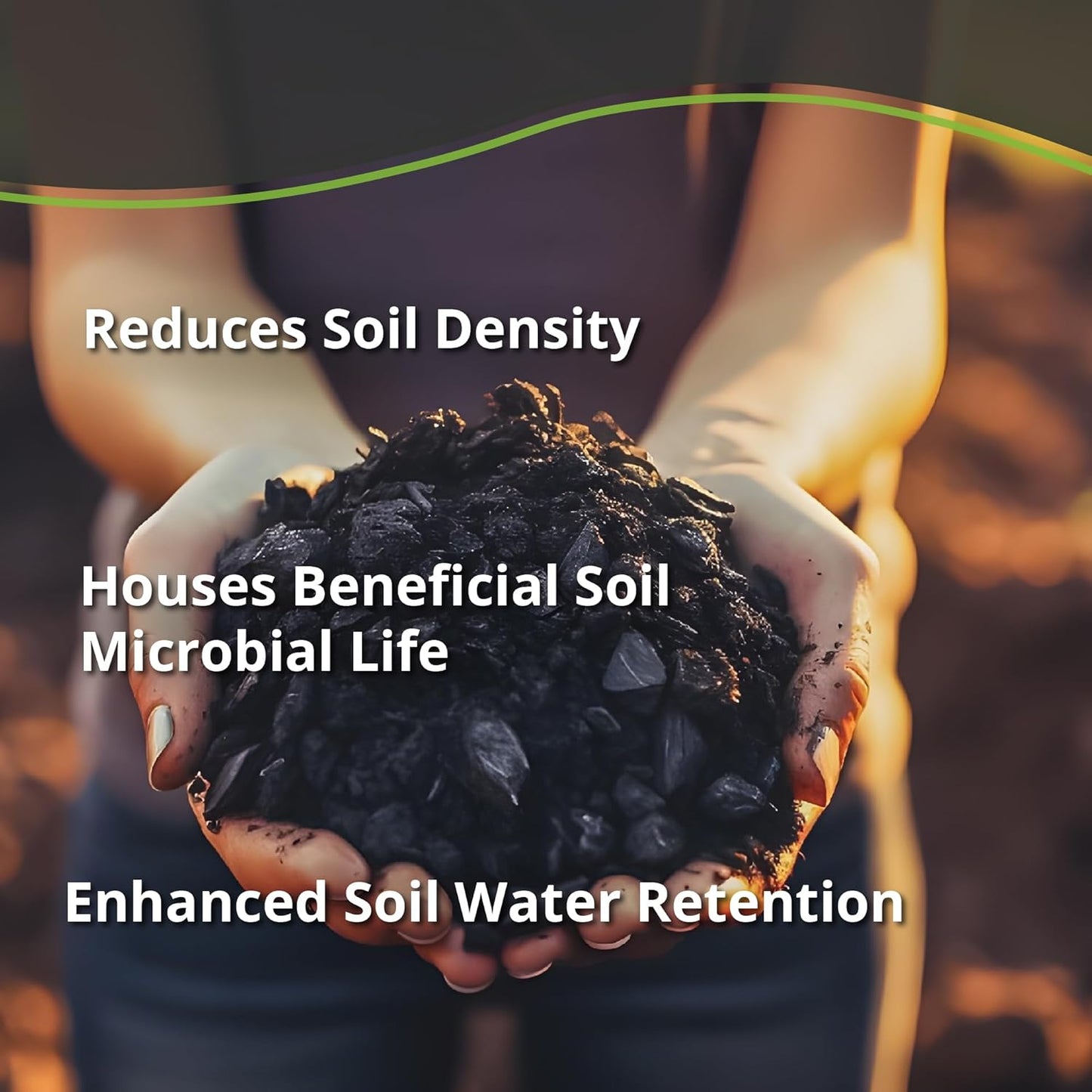 Char Bliss (1 Qt) - Organic Biochar for Plants - OMRI-Listed Biochar Soil Amendment Organic - Horticultural Charcoal for Plants, Gardening, & Potting Soil - 100% Natural and Renewable Bio Char