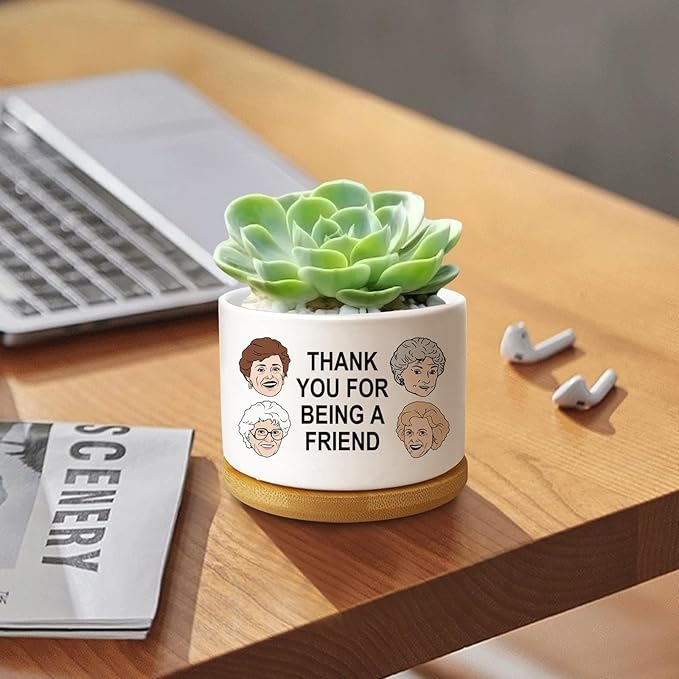 Friend Gifts for Women, Funny Succulent Planter, Flower Cactus Plant Pot, Friendship Gifts for Friend Bestie Sister Birthday, Thank You for Being a Friend Golden Girls Merchandise (Plant Not Included)