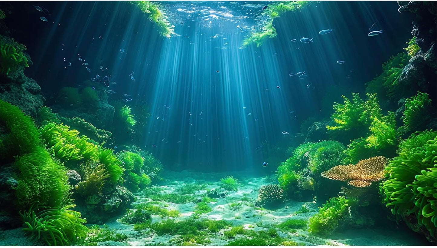 Aquarium Background Aquatic Plants Soft Algae Terrarium Backdrop Underwater World Fish Rock with Moss Sunlight Rays Fish Tank Background Aquarium Wallpaper Poster Decor Vinyl 30x12in