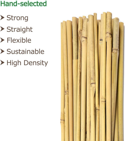 Bamboo Sticks for Plants 2 Feet Bamboo Stakes for Indoor Gardening Plant Stakes Supports Potted Plants Mini Trees Garden Stakes - Pack of 30 Bamboo Poles Natural
