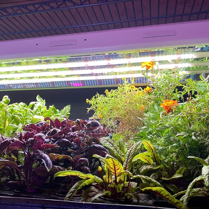 Active Grow T5 High Output 4FT LED Grow Light Bulb - T5 Grow Lights for Indoor Plants, Seed Starting & Compact Plant Growth - 24W - Sun White Pro Full Spectrum - Plug & Play - 4-Pack