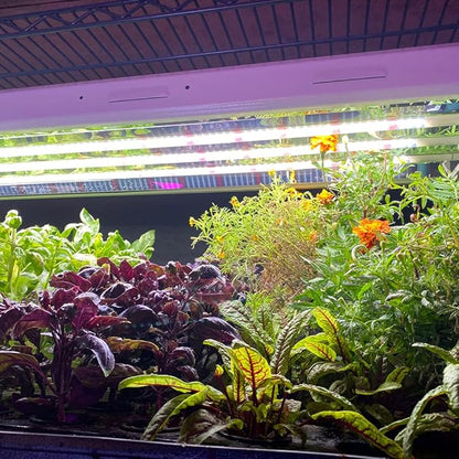 Active Grow T5 High Output 4FT LED Grow Light Bulb - T5 Grow Lights for Indoor Plants, Seed Starting & Compact Plant Growth - 24W - Sun White Pro Full Spectrum - Plug & Play - 4-Pack