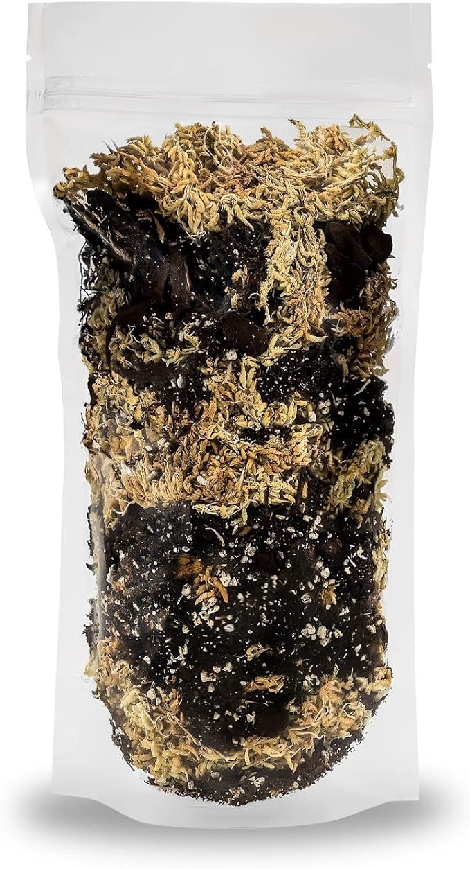 Gardenera Premium Orchid Mix by GARDENERA | Fern + New Zealand Pine Bark + Sphagnum Moss + Perlite | Best for Growing and Repotting Orchids - 5 Quart Bag