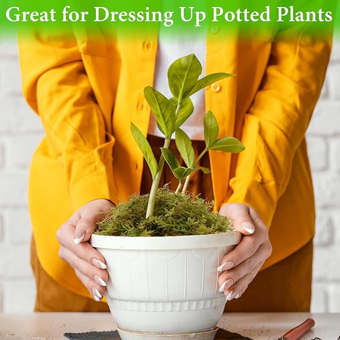 Halatool 3.3LB Green Forest Natural Sphagnum Moss for Plants - Fluffy Orchid Moss for Repotting, Dried Plant Moss for Indoor & Outdoor Potted Plants