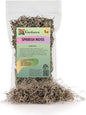 Premium Natural Spanish Moss | Natural Preserved - Great Ground Cover - Filler for Potted Plants - by GARDENERA - 1 Quart Bag