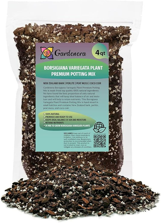 GARDENERA Monstera Borsigiana Soil Blend - Specially Designed for Unique Plant Needs - 4 Quart