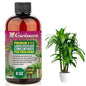 Premium Liquid Dracaena Fertilizer - 3-1-2 Concentrate for Indoor Plants and Flowers - Organic Plant Food - 8oz
