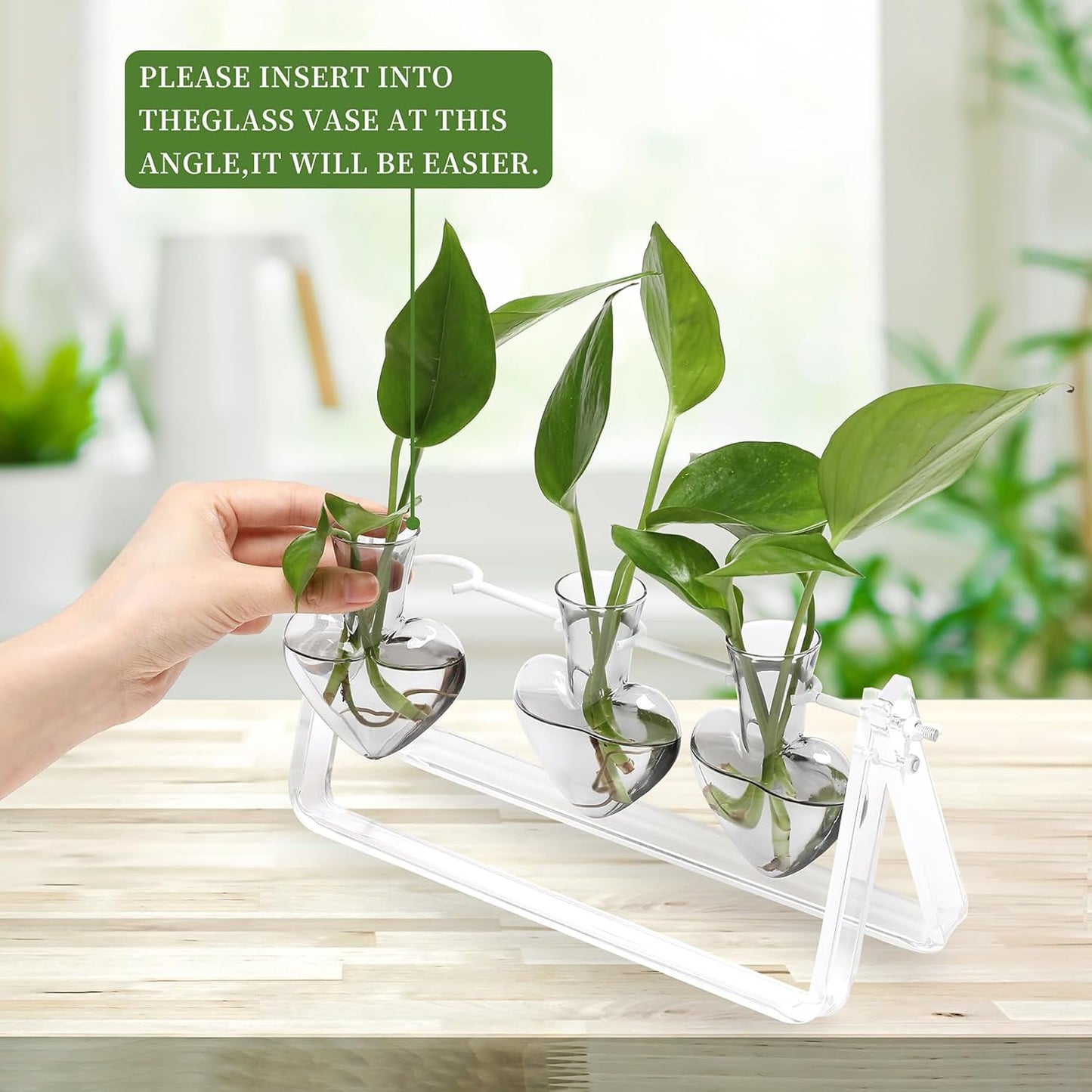 Clear Plant Terrarium Propagation Stations with Acrylic Stand Birthday Gifts for Women Office Home Decor