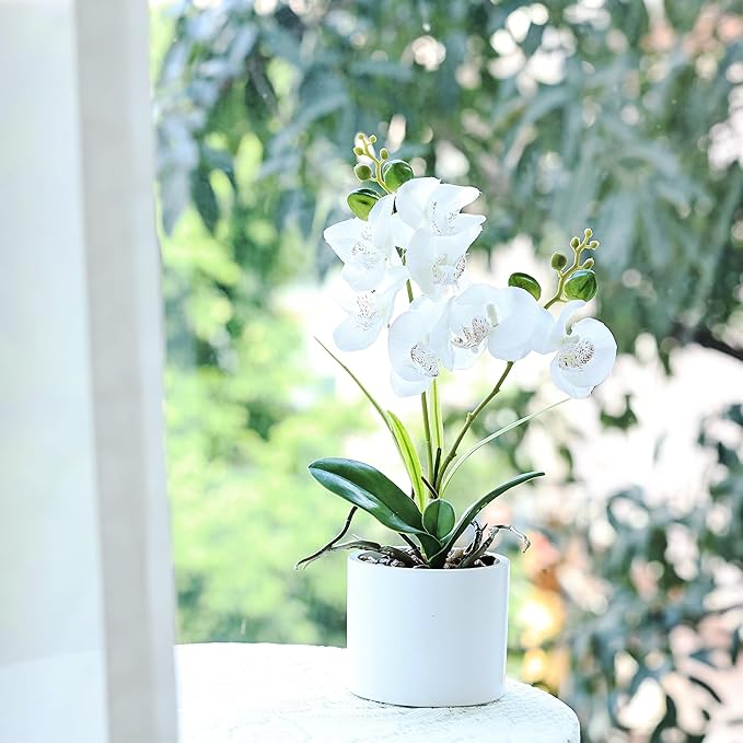 Jusdreen Artificial White Orchid in Ceramic Pot, Realistic Phalaenopsis Arrangement with Potting for Home Office Table Decor, 14.5 Inch Flower Centerpiece