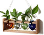 Plant Propagation Stations Heart Plant Terrarium Kit Gift for Women Plant Lover Glass Vases