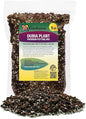 Monstera Dubia Soil Blend - Ensures Superior Aeration and Drainage for Vibrant Growth - 5 Quart